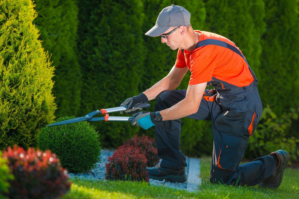 Garden Maintenance